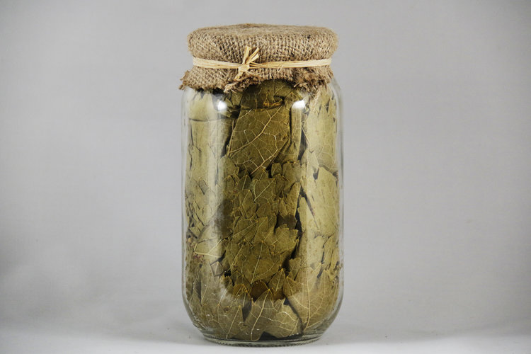 Tender Grape Leaves